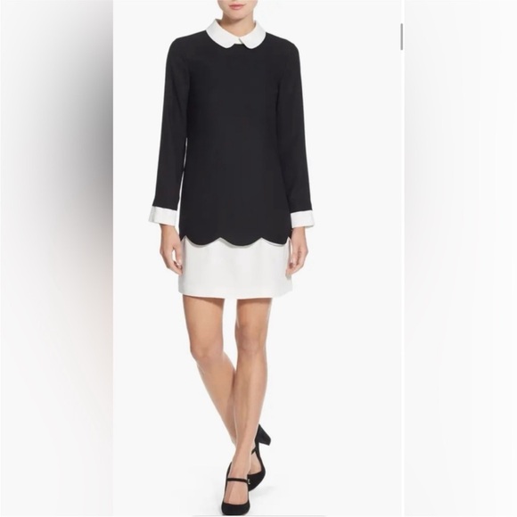 CeCe | Jada Scalloped Overlay Collared Shift Dress | Black White | size 8 - Picture 13 of 16